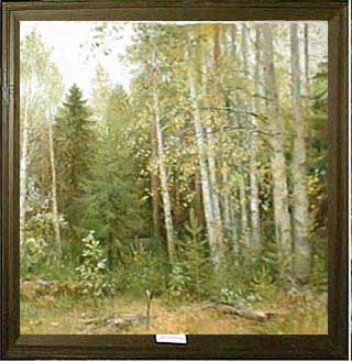 In the forest